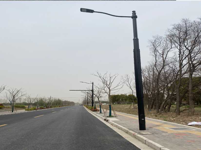 紫金县上海综合杆 太阳能路灯工程